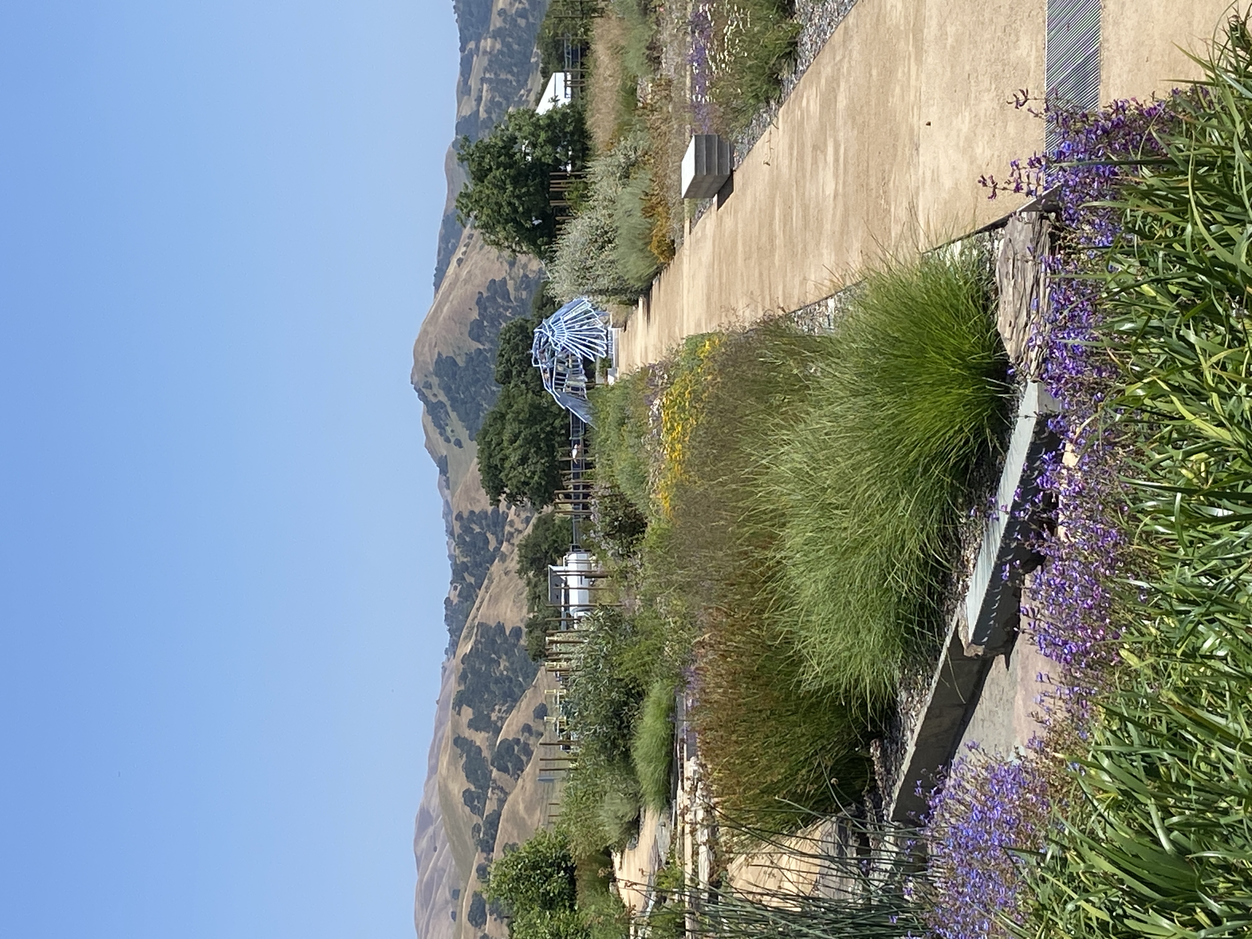 Landscaping next to watershed center