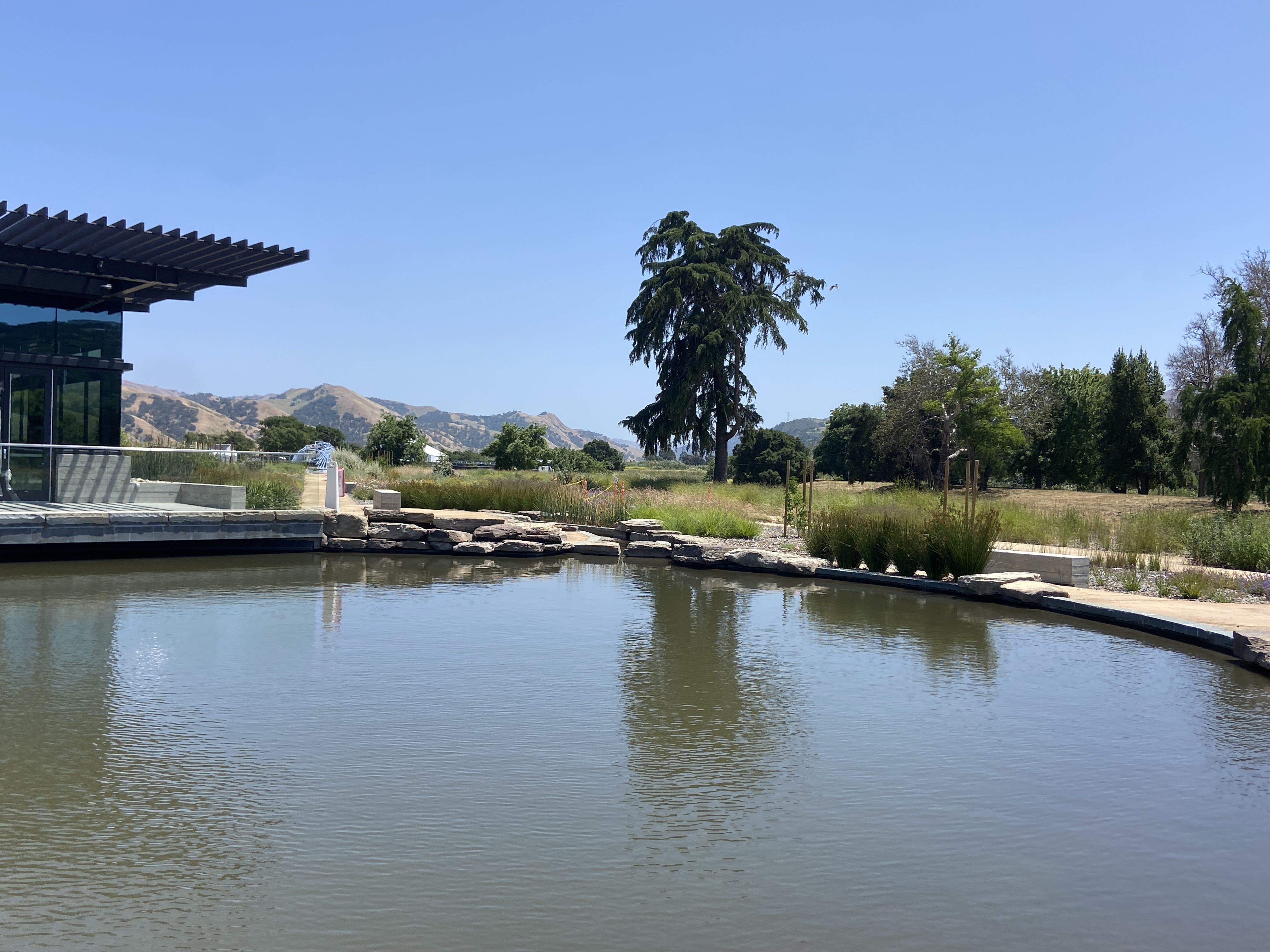 Photo of pond behind the watershed center