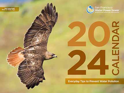 Águila en la portada del Calendario de Prevención de la Contaminación 2023.