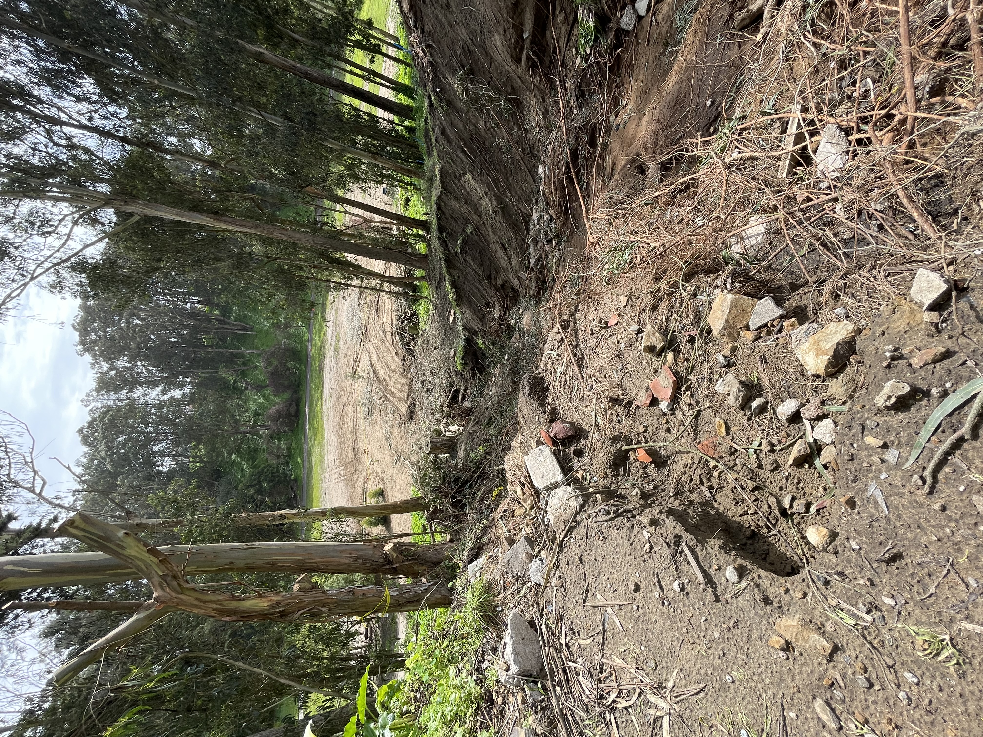 Photo of washout area