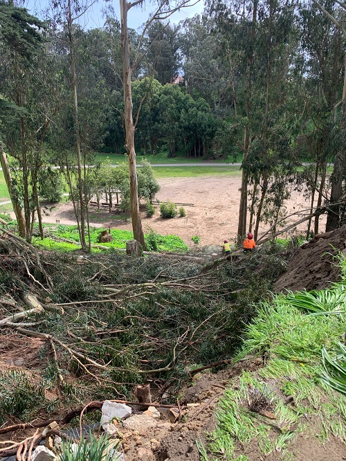 Photo showing crews cutting up fallen trees