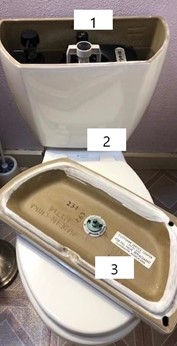 1. On the walls inside the toilet tank. 2. The flat area behind the toilet seat hinge, where the bowl meets the tank. 3. The underside of the tank lid.