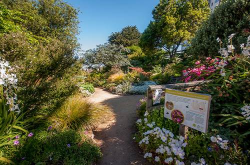 The Garden for the Environment is open 365 days/year and 24 hours/day to all. Photo credit to the Garden for the Environment.