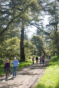 SFPUC Celebrates 20th Anniversary of the Fifield-Cahill Ridge Trail