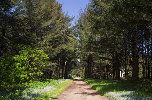 SFPUC Celebrates 20th Anniversary of the Fifield-Cahill Ridge Trail