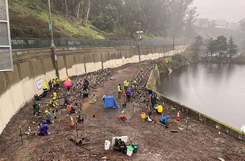 Volunteers at Laguna Honda planting day