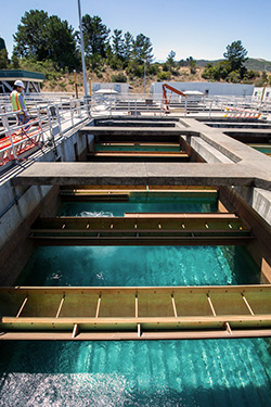 Harry Tracy Water Treatment Plant.