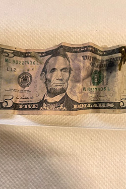 A $5 bill recently pulled off a screen at the Southeast Treatment Plant.