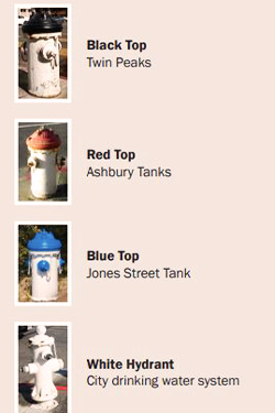 Different fire hydrants throughout the City.