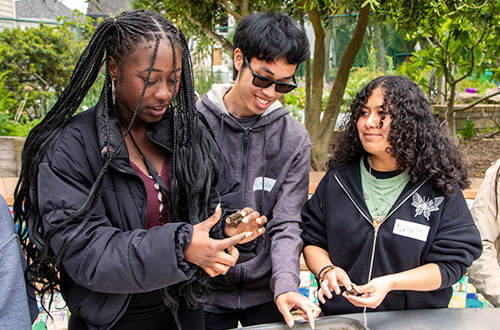 Students at the College Hill Learning Garden.