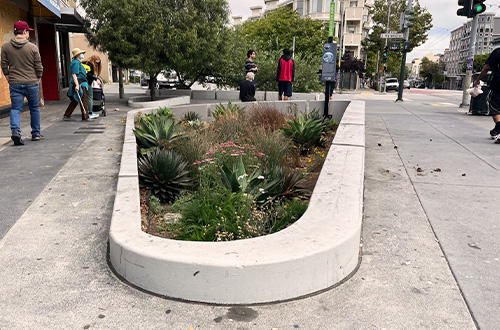 Another nearby rain garden, also part of the Mission Valencia Green Gateway project. | Image: Will Callan/SFPUC