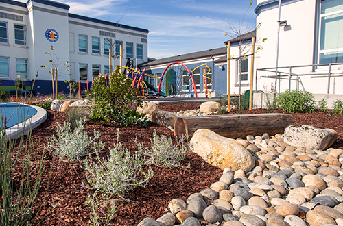 Dry Creek Bed at Lafayette Elementary School