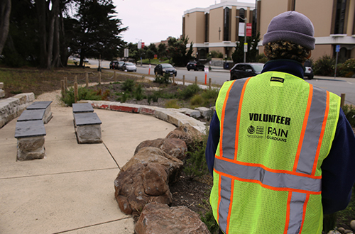 Person standing in a rain garden.