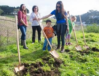 Shovels in the ground