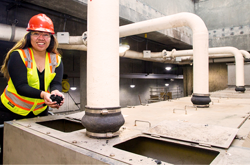 Biosolids during dewatering.