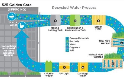 Living Machine schematic