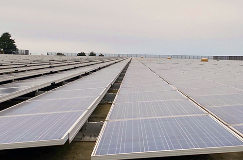 rows of solar panels