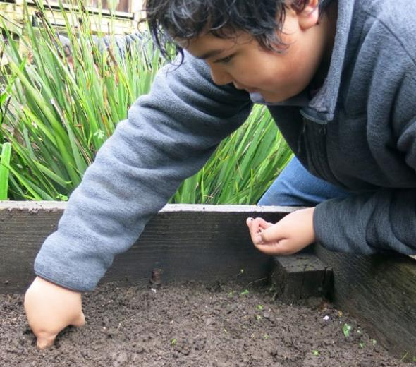 Student plunging their finger into the planter box soil