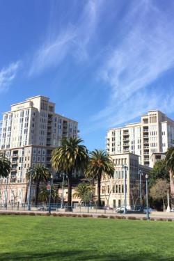 large lawn area with high rise buildings in background