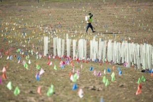 dry pond area with colored flags in the ground