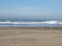 San Francisco's Ocean Beach