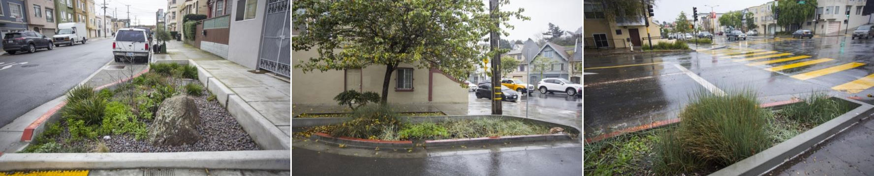 Tres ejemplos de jardines de lluvia