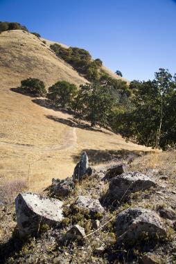 hills and dry grasses