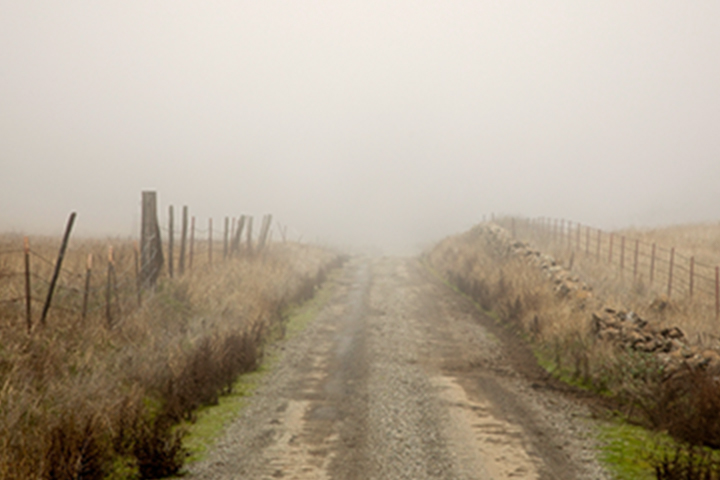 camino rural nublado en la niebla