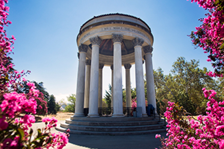 image of the water temple surrounded by bouganvillea 