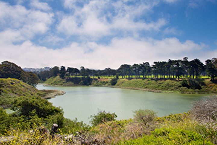 view of the south end of Lake Merced