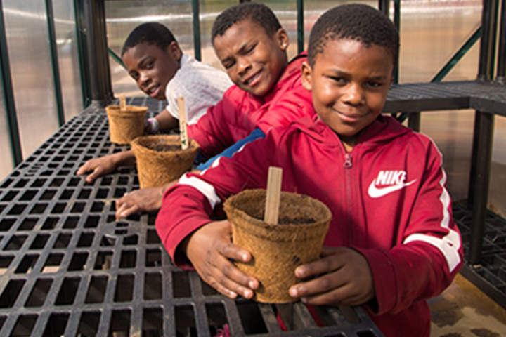 three boys each holding a potted plant