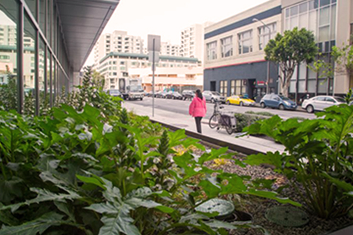 a garden box with a person walking in the background