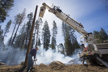 power line installation in forest area