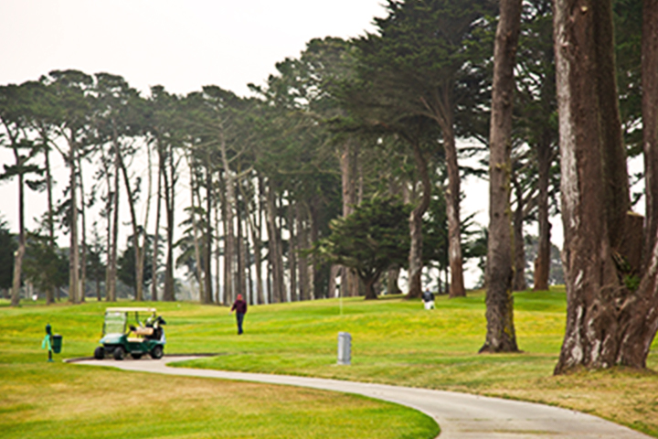 Carrito y calle en Harding Park