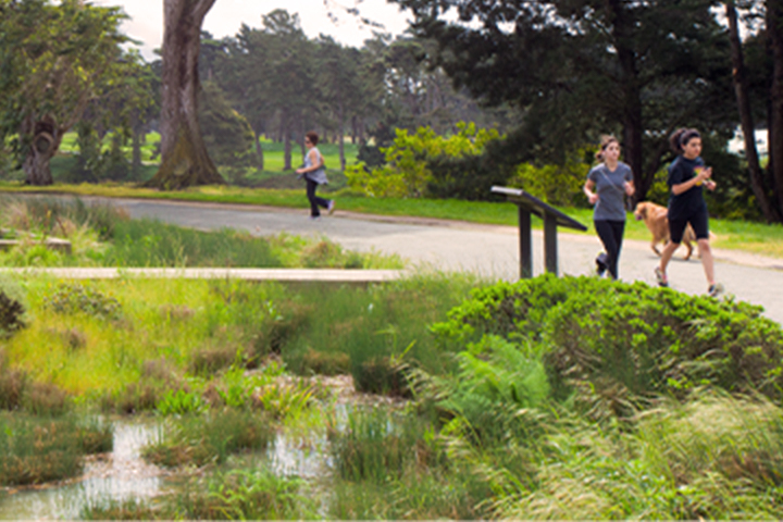 joggers along a trail