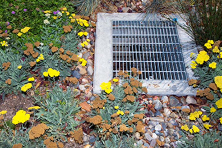 Drain inside rain garden