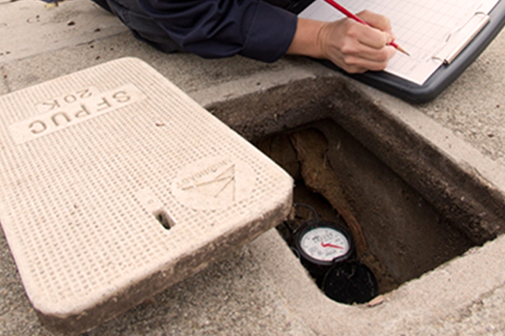 plate cover for a sidewalk water meter