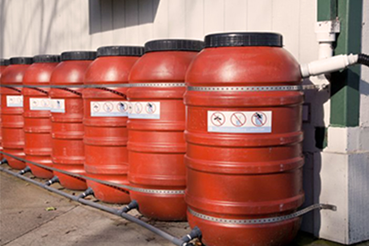 row of rainbarrels