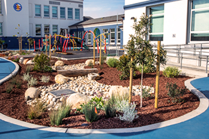 school yard garden