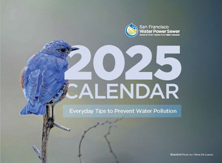 2025 SFPUC Pollution Prevention Calendar 