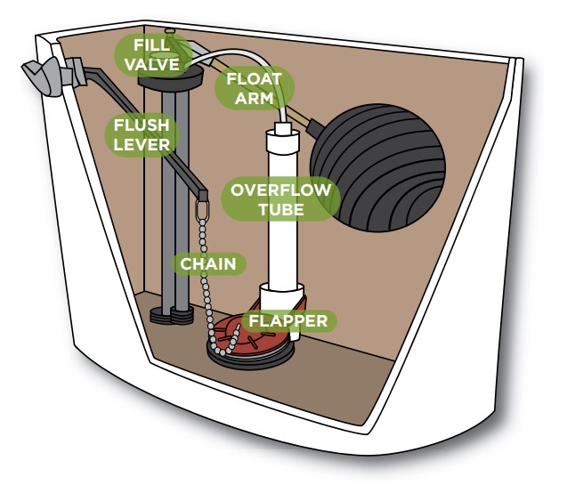 Graphic showing the inside of a toilet tank. Text identifies the different parts of the tank. This includes "fill valve, flush lever, float arm, chain, overflow tube, flapper." 