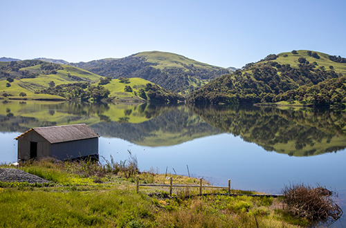 San Antonio Reservoir, East Bay (April 2024)