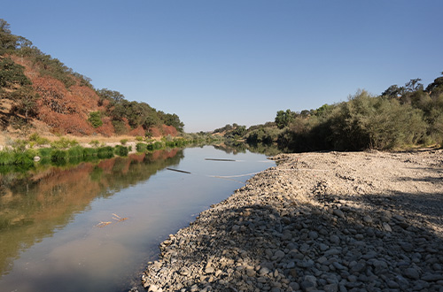 Fish Habitat Restoration on the Tuolumne