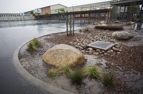 A rain garden at Robert Lewis Stevenson Elementary