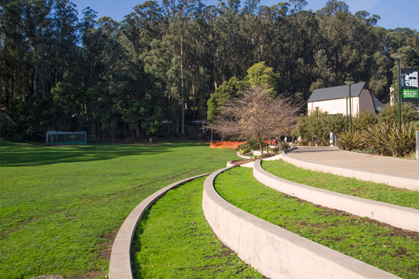 grass and concrete terraces