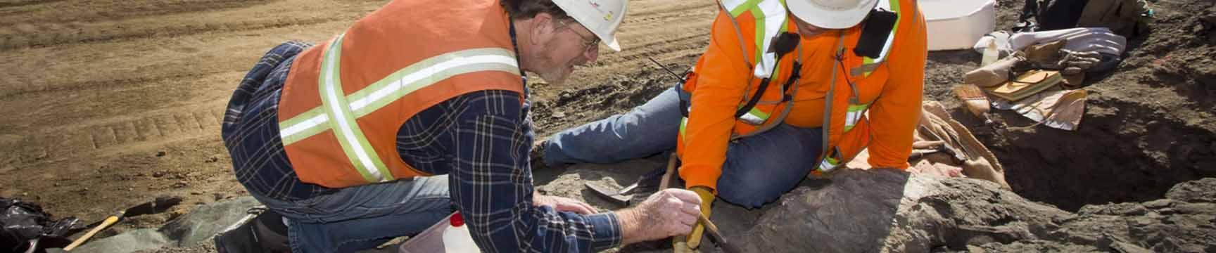 Paleontologists at the Calaveras Dam site dig
