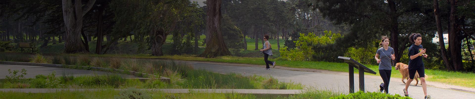 Joggers running on a trail