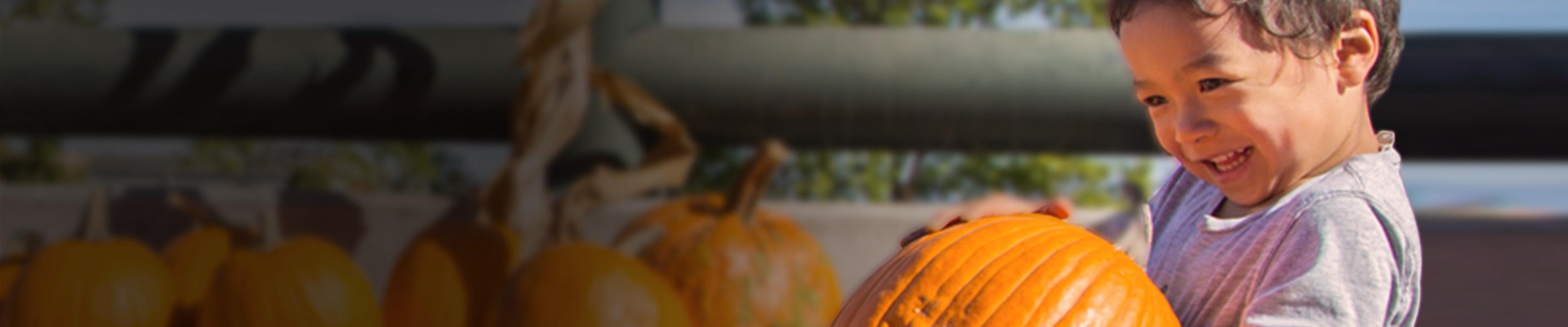 Child picking up a pumpkin