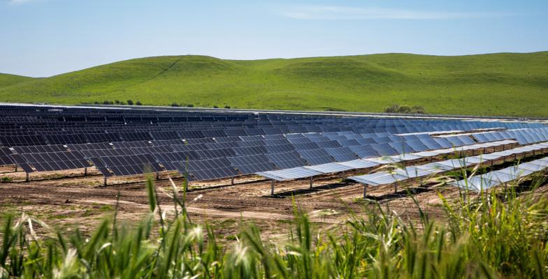 Photo of solar panels at the Paulsell Solar Energy Center in Stanislaus County.