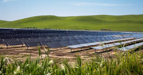 Photo of solar panels at the Paulsell Solar Energy Center in Stanislaus County.